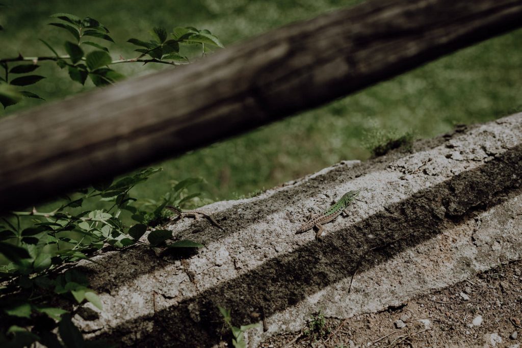 Destination Elopement -Tuscany- Erin & Nasir Travel Wedding  photography