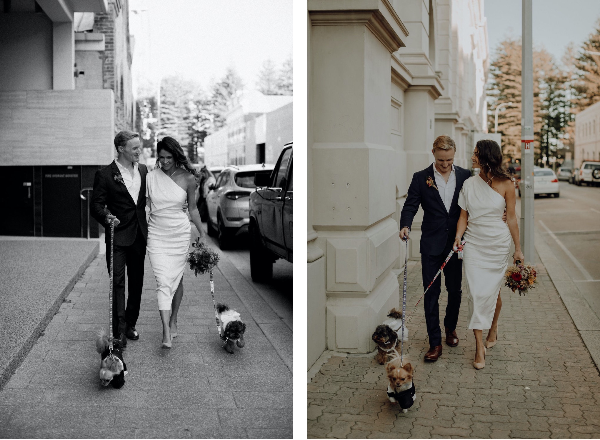 Laura, Fred, Ginger + Pumpkin - Fremantle Micro Wedding Wedding  photography