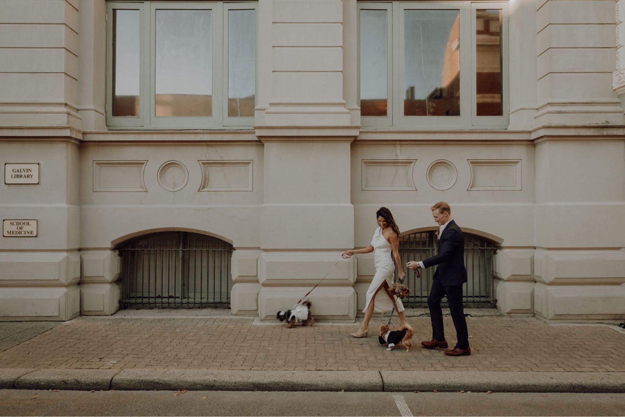 Laura, Fred, Ginger + Pumpkin - Fremantle Micro Wedding Wedding  photography