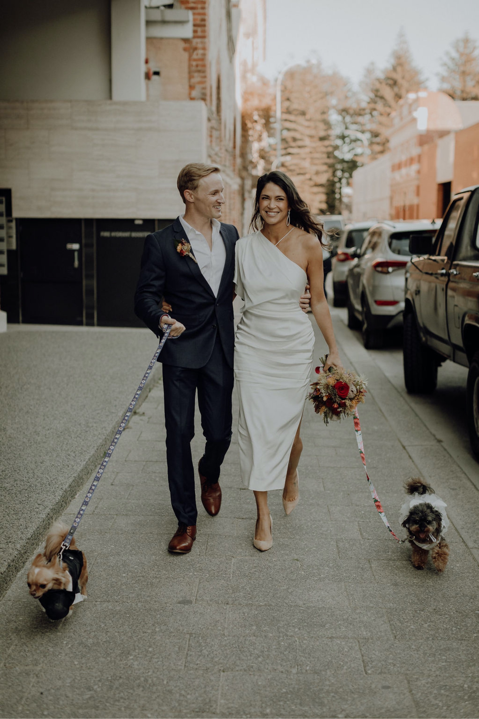 Laura, Fred, Ginger + Pumpkin - Fremantle Micro Wedding Wedding  photography