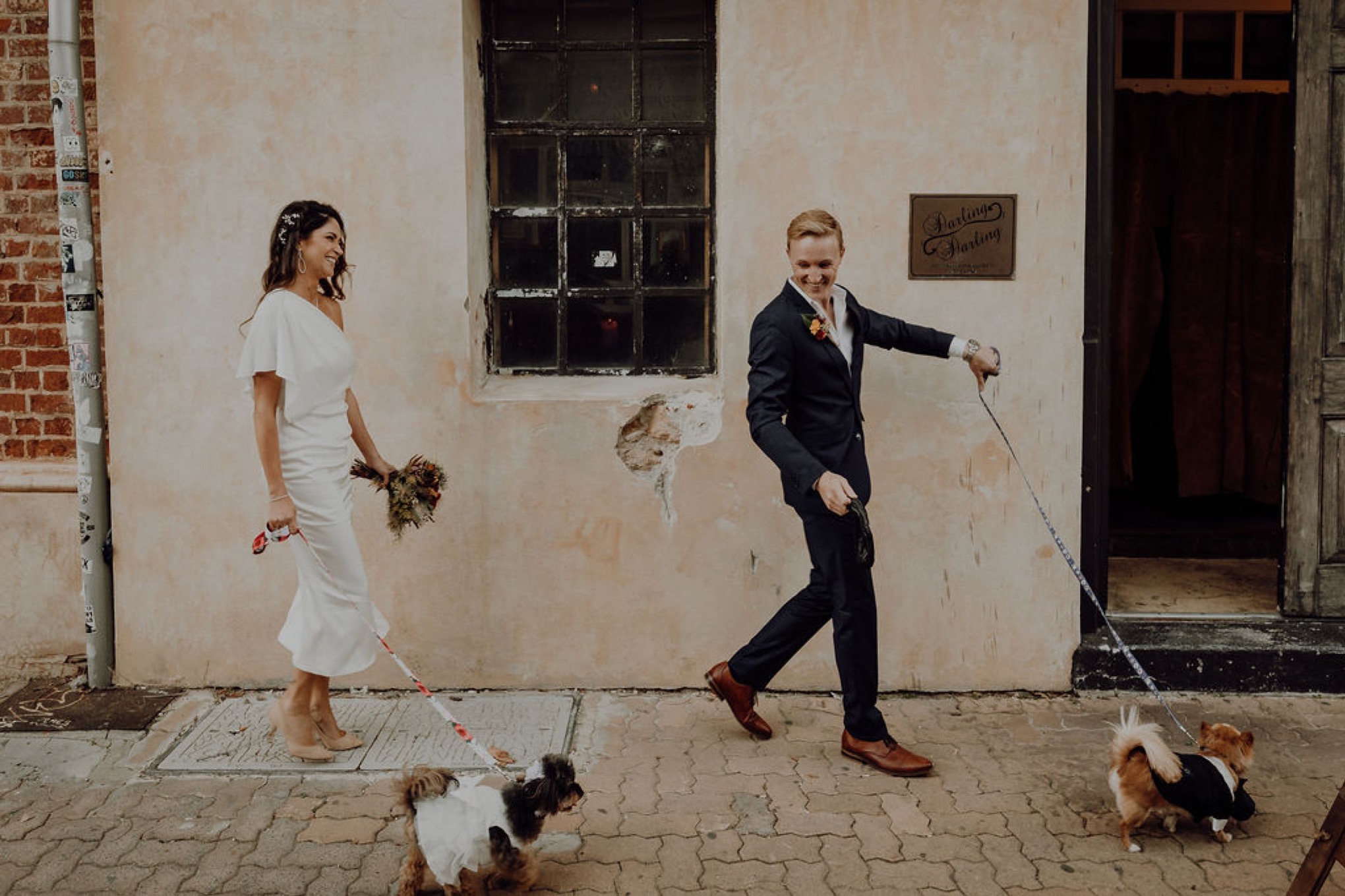 Laura, Fred, Ginger + Pumpkin - Fremantle Micro Wedding Wedding  photography