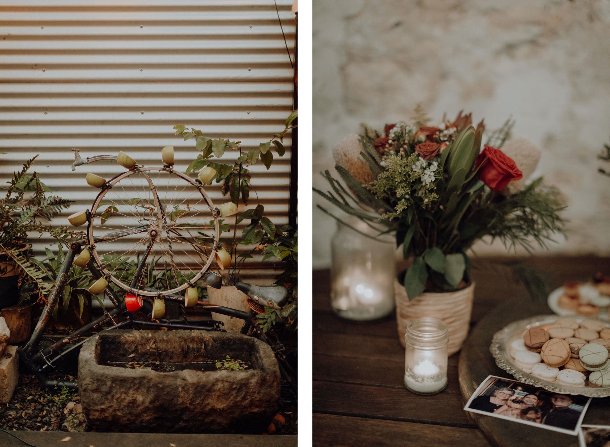 Laura, Fred, Ginger + Pumpkin - Fremantle Micro Wedding Wedding  photography