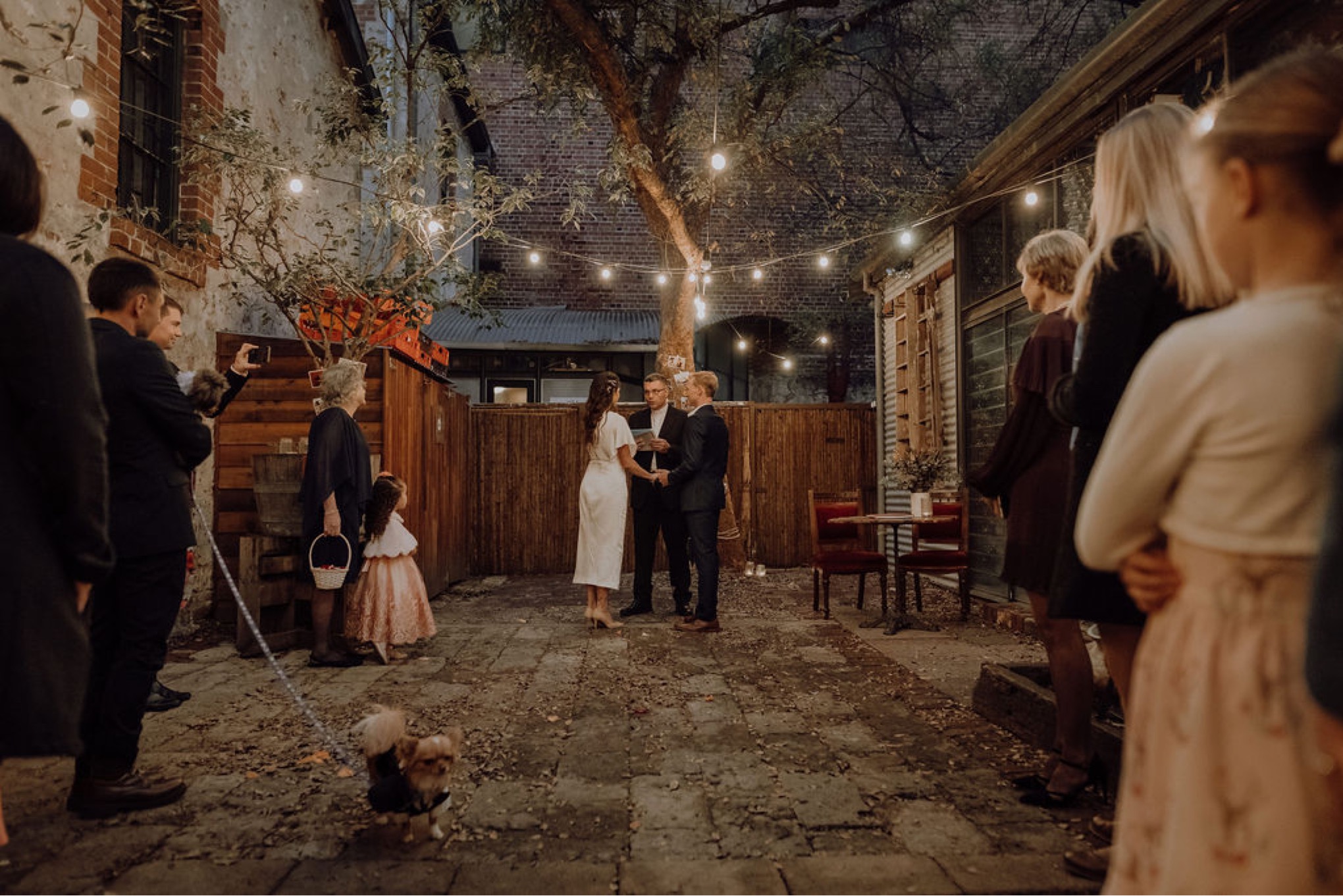 Laura, Fred, Ginger + Pumpkin - Fremantle Micro Wedding Wedding  photography