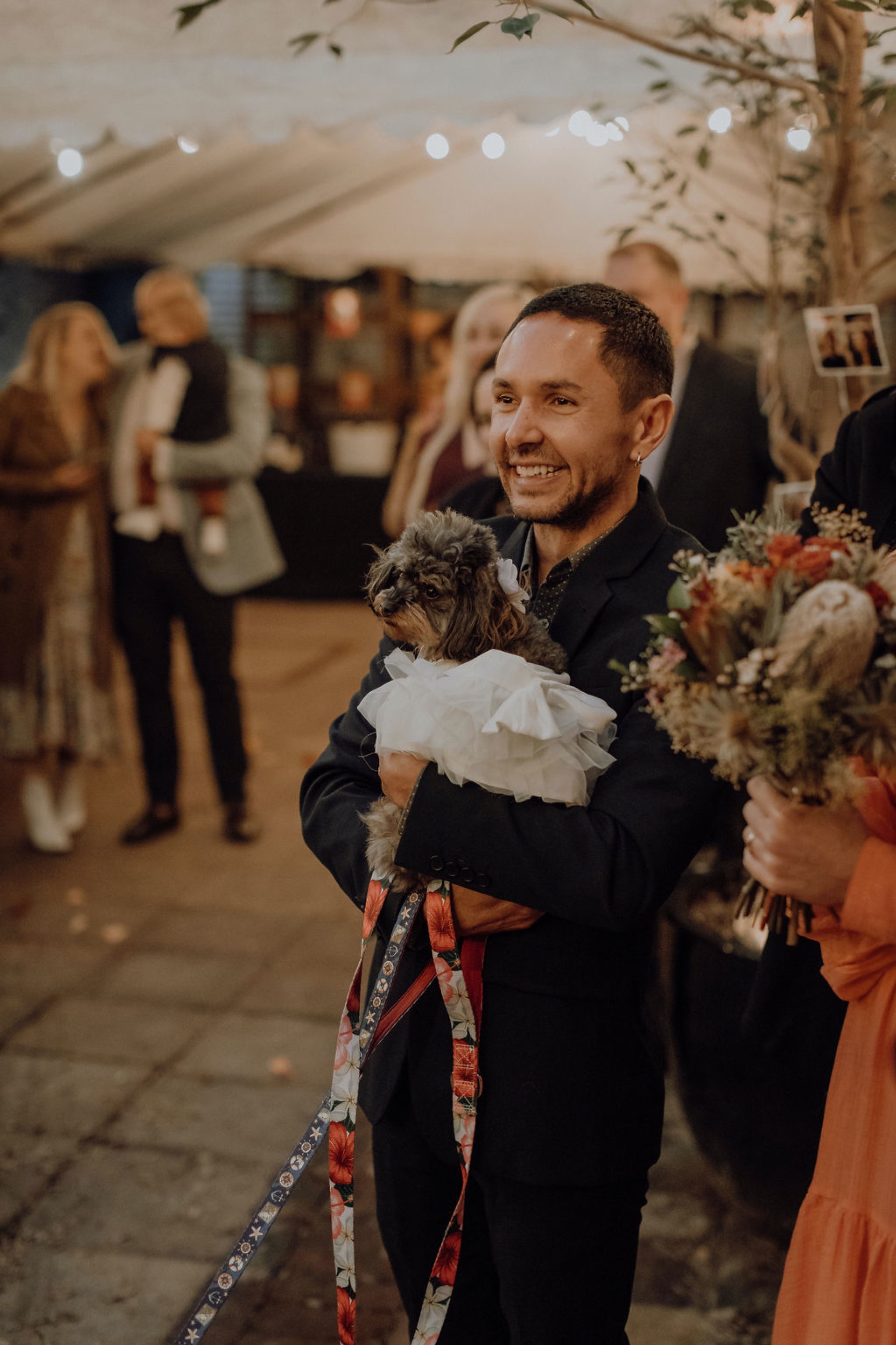 Laura, Fred, Ginger + Pumpkin - Fremantle Micro Wedding Wedding  photography