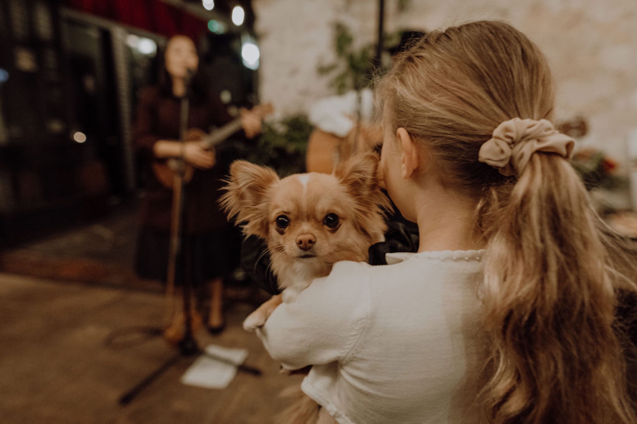 Laura, Fred, Ginger + Pumpkin - Fremantle Micro Wedding Wedding  photography