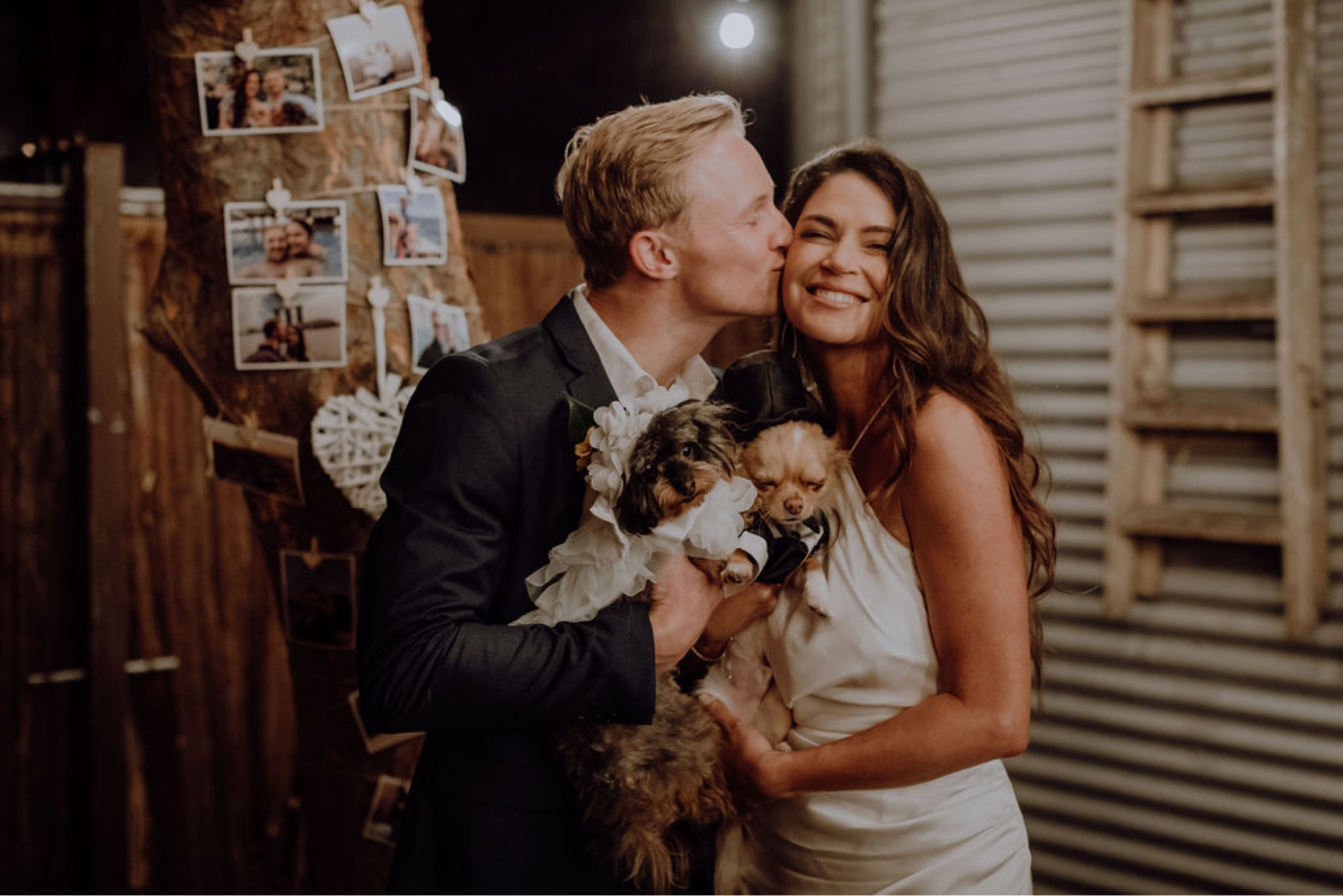 Laura, Fred, Ginger + Pumpkin - Fremantle Micro Wedding Wedding  photography