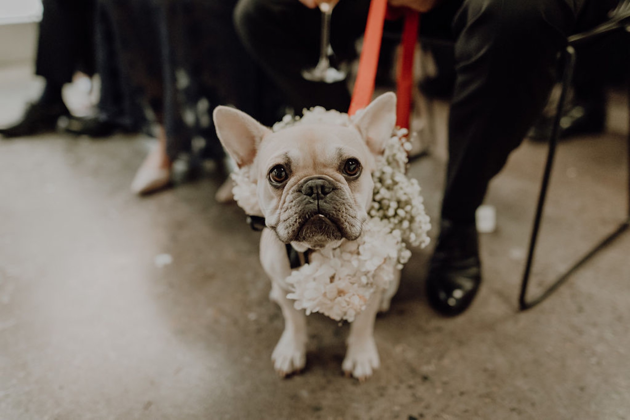 Emma + George - Fridays Studio Wedding Wedding  photography