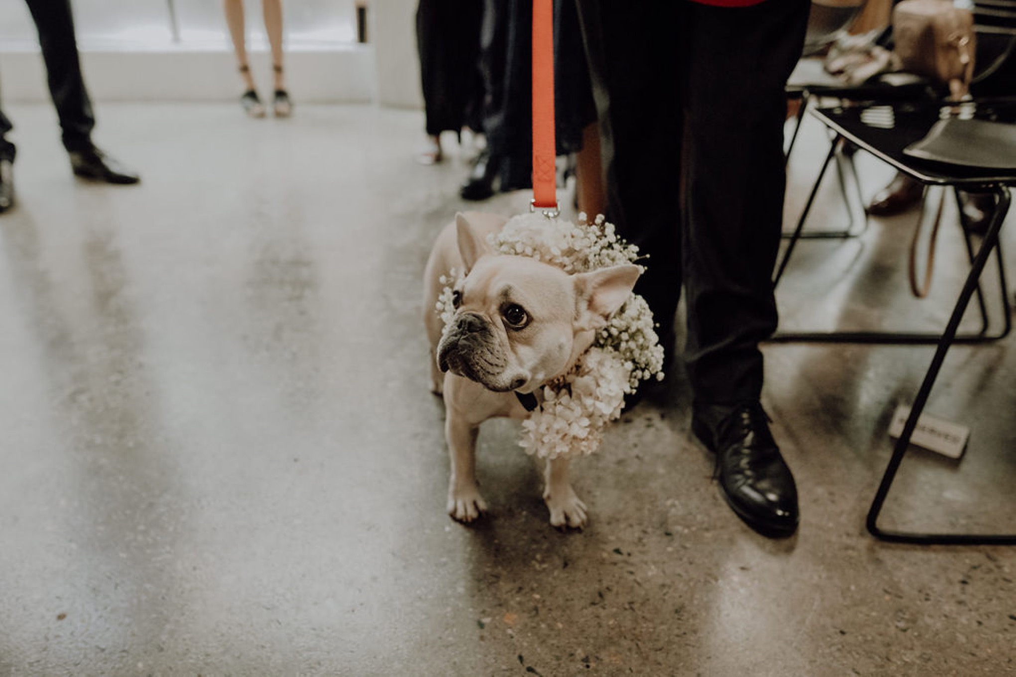 Emma + George - Fridays Studio Wedding Wedding  photography